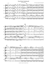 Eine Kleine 1st Movement For Viola Quartet