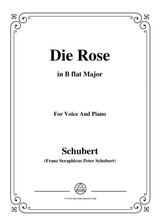 Schubert Die Rose In B Flat Major Op 73 For Voice And Piano